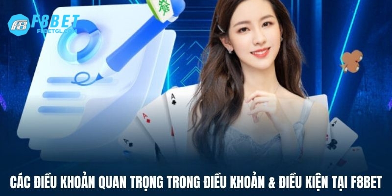 Các điều khoản quan trọng trong điều khoản & điều kiện tại f8bet