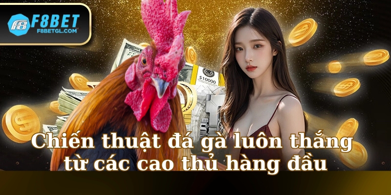 Chiến thuật đá gà luôn thắng từ các cao thủ hàng đầu