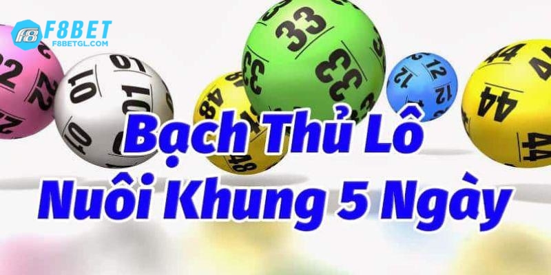 Những lý do mà bạn nên lựa chọn soi cầu bạch thủ lô khung 5 ngày