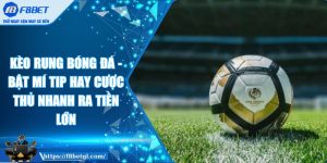 Kèo Rung Bóng Đá - Bật Mí Tip Hay Cược Thủ Nhanh Ra Tiền Lớn